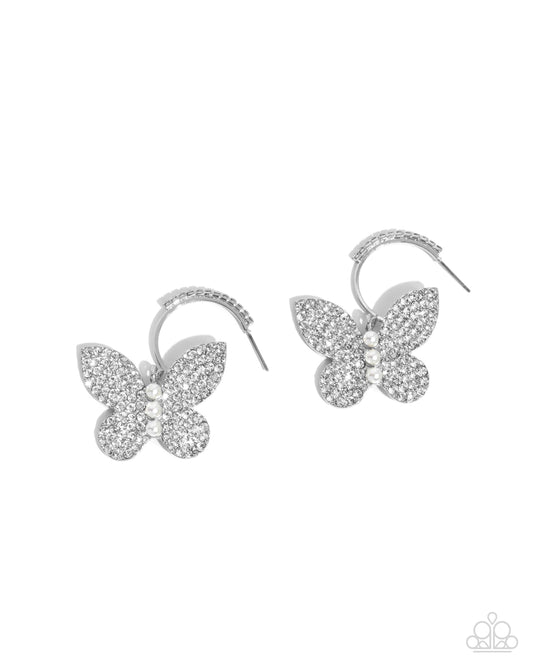 Butterfly Boundary